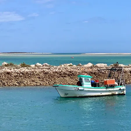 Casa Do Professor بيت للعطل فوزيتا