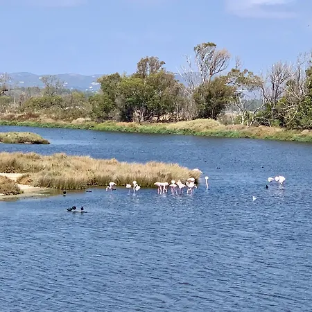 Prázdninový dům Casa Do Professor *