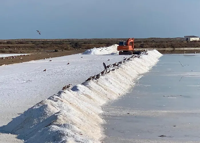 Casa Do Professor * Fuzeta