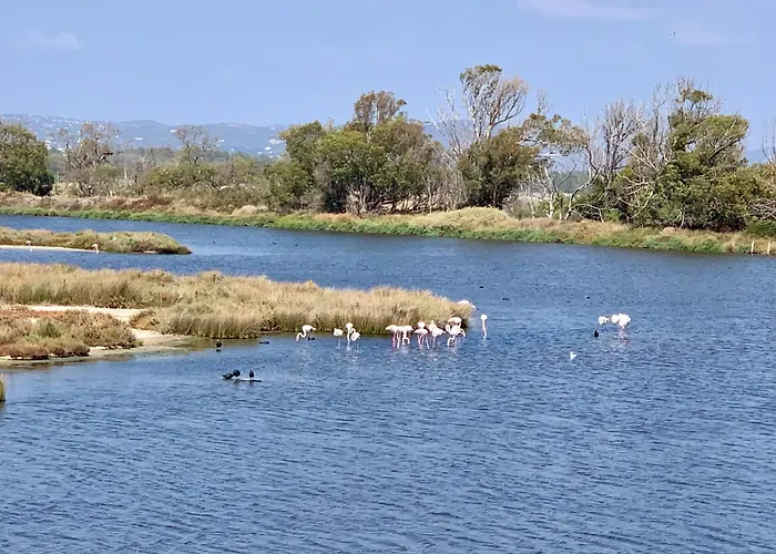 Dom wakacyjny Casa Do Professor *